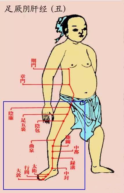 祛除腿部“寒气”的方法