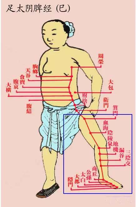 祛除腿部“寒气”的方法