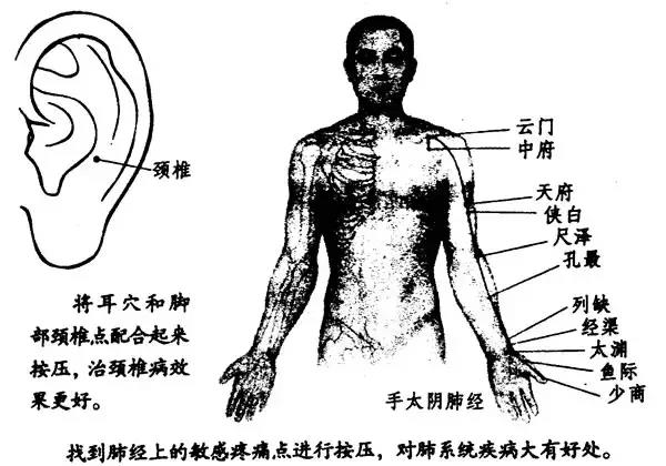 颈椎病反射点