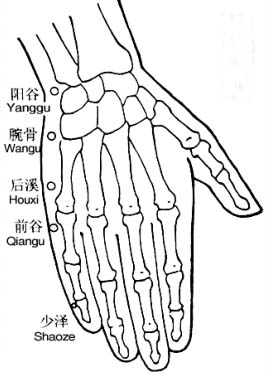 治痛对穴