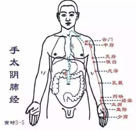 肺经