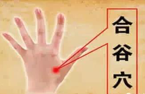 合谷穴