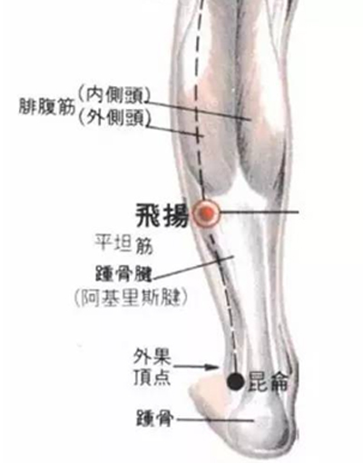 飞扬穴