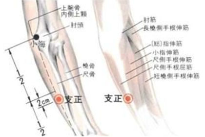 支正穴