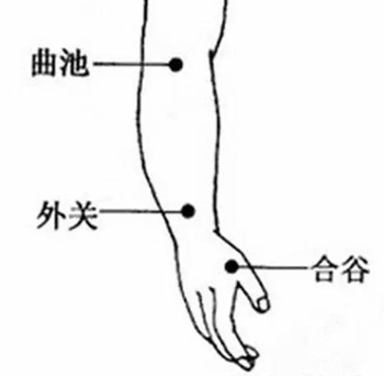 合谷、外关