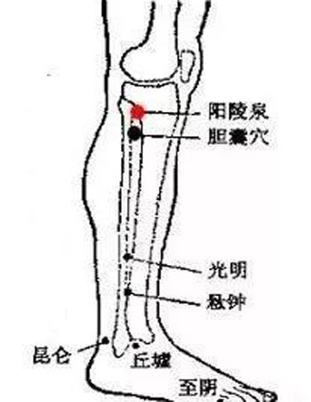 胆囊穴、阳陵泉穴