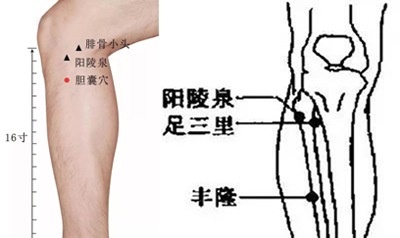 胆囊穴、阳陵泉穴