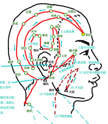 中医养发妙法