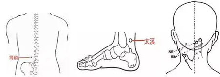 肾俞、太溪、风池
