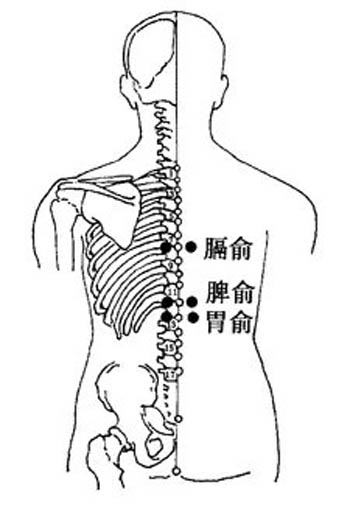 脾俞穴