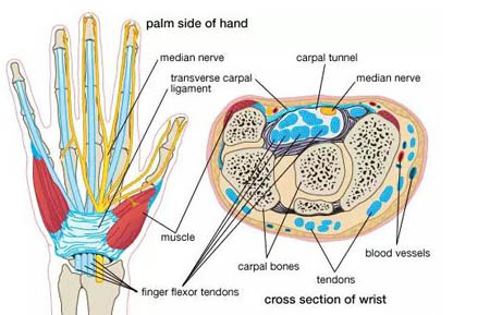 腕管综合征