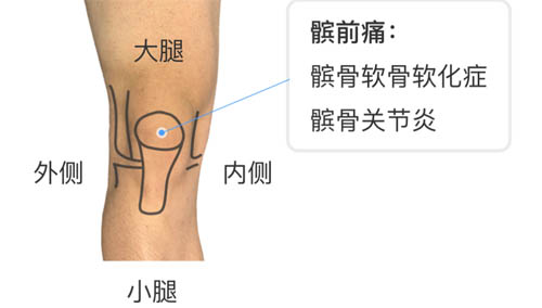 膝盖疼痛的位置和对应调理！