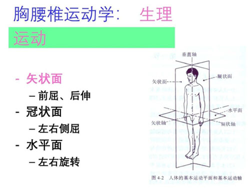 胸腰椎及骨盆松动手法！