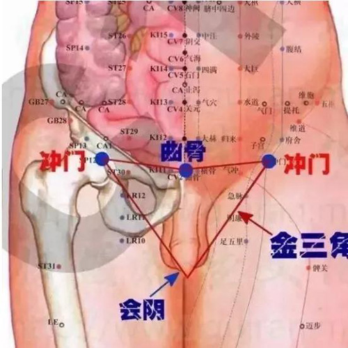 冲门，曲骨，会阴