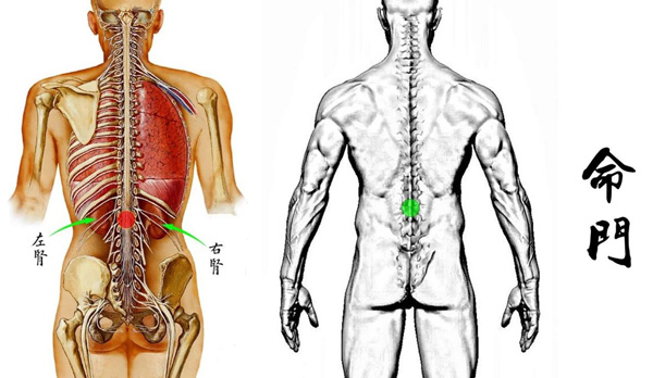 命门灸