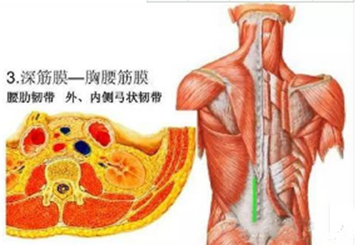 针灸时如何区分“天、地、人三才”？