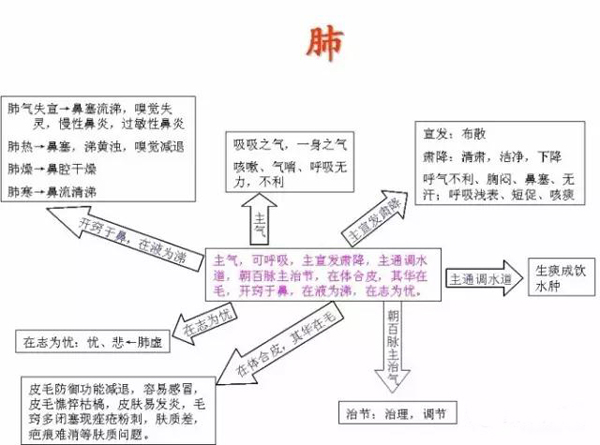 五脏六腑的生理病理与八卦象数！