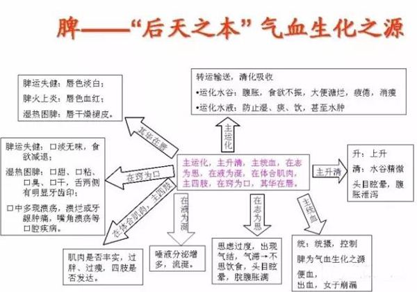 五脏六腑的生理病理与八卦象数！