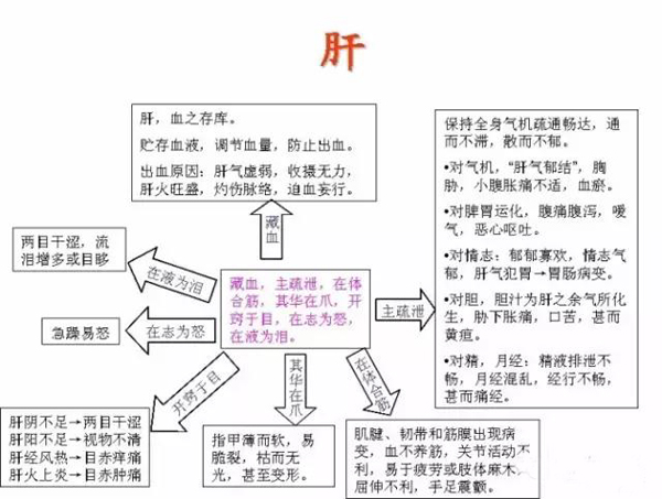 五脏六腑的生理病理与八卦象数！