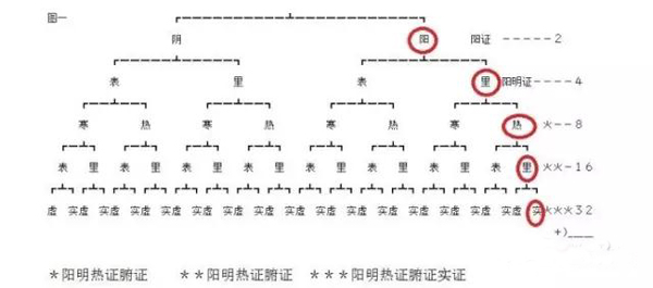 八纲辩证要领及象数配方！