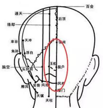 后脑勺中间疼，属太阳经