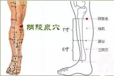 阴陵泉穴