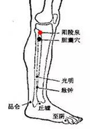 阴陵泉