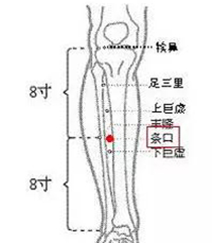 条口穴