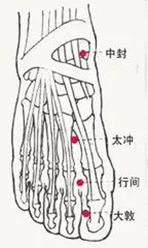 太冲穴