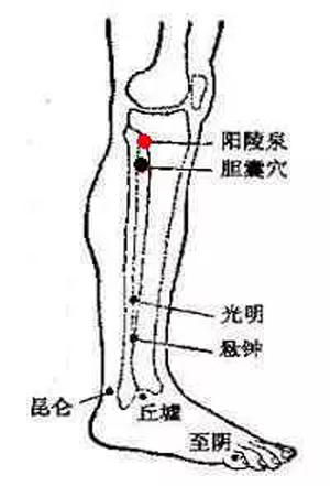 胆囊穴