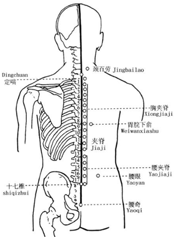 第五腰椎下