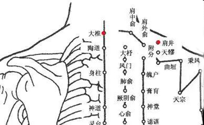 肩井穴