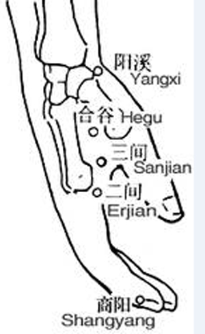 商阳穴