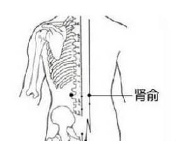 肾俞穴