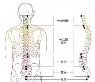 腰间盘突出