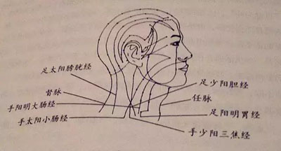 百会穴