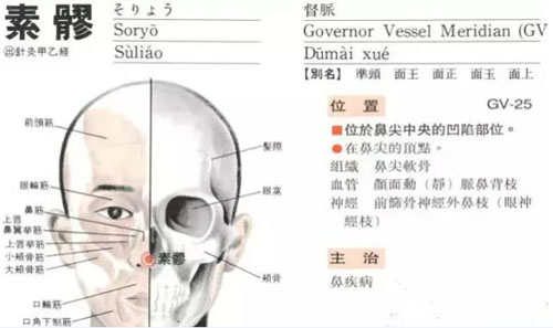 素髎穴