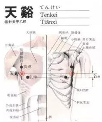 天溪穴