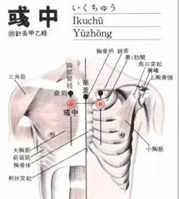 彧中穴