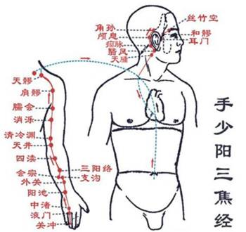 三焦经