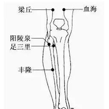 膝关节穴位