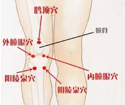 内外膝眼，阳陵泉