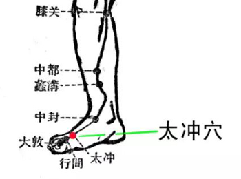 太冲穴