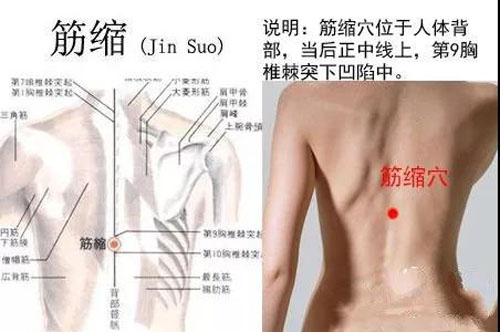 筋缩穴