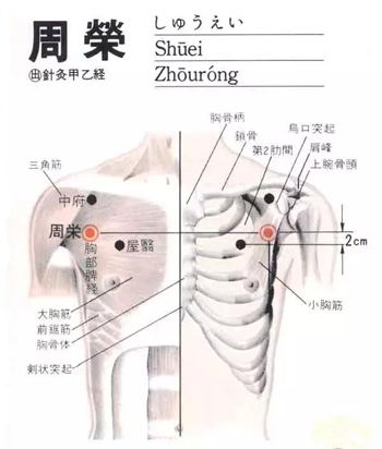 周荣穴：咳嗽、气逆、胸胁胀满