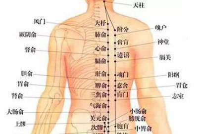 大杼穴：颈椎病、咳嗽、气喘