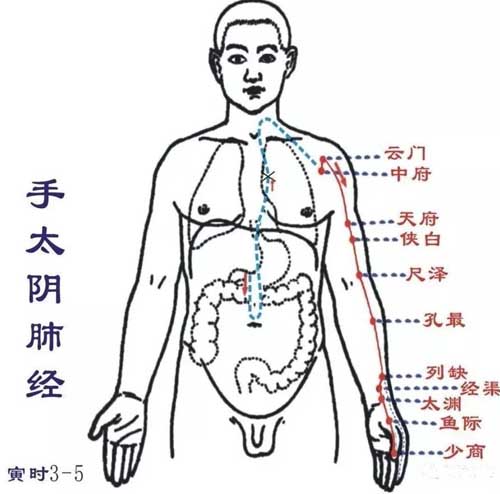 易咳嗽、皮肤痒，揉肺经