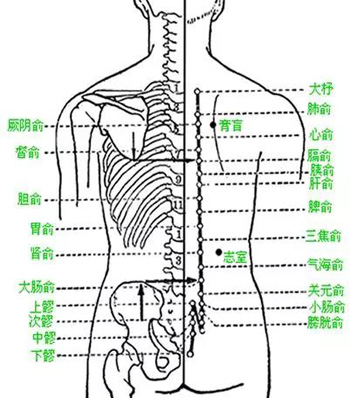 十大常见病的穴位调理按摩疗法！