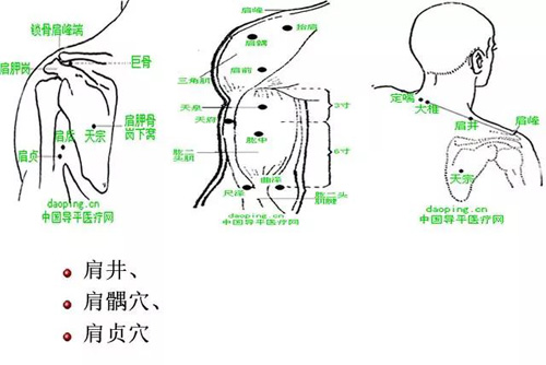 十大常见病的穴位调理按摩疗法！