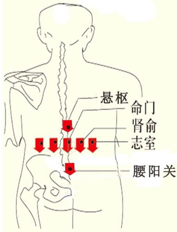 生活中的6个中医护腰法